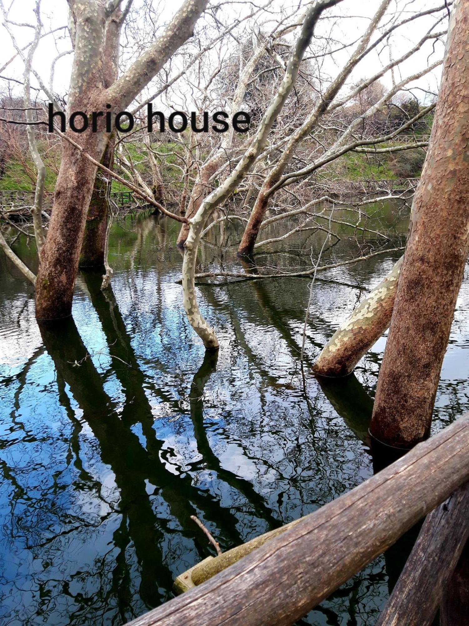 Horio House Villa Limni  Bilik gambar